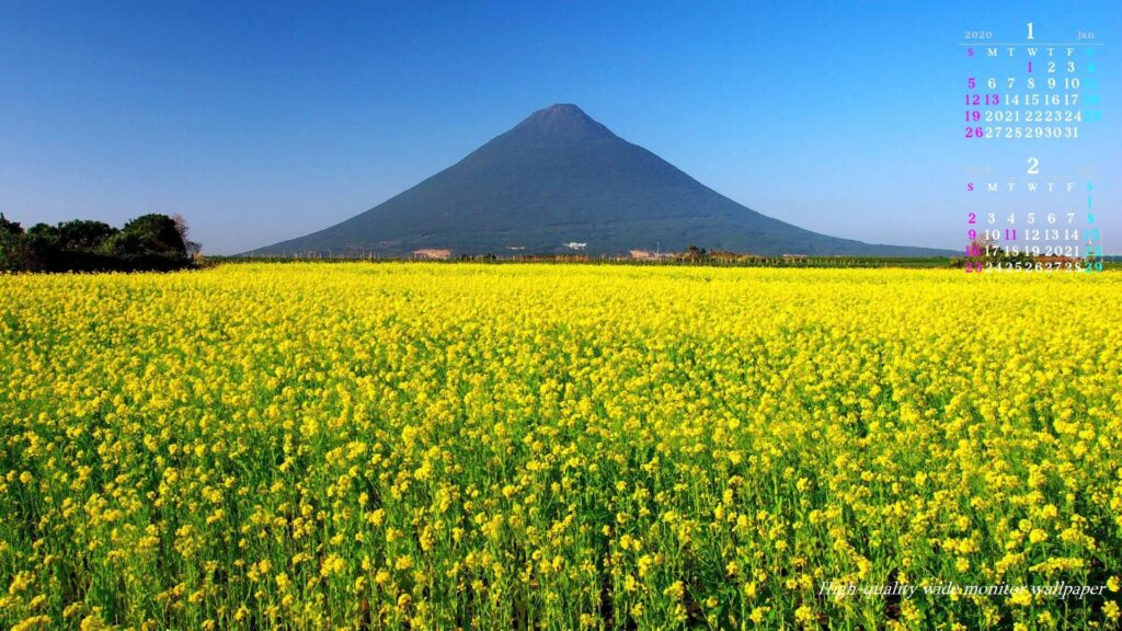 Awards and Honors image of Prof. Yue Kuo.